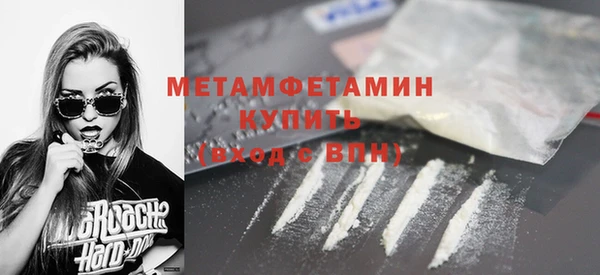 гидра Гусь-Хрустальный