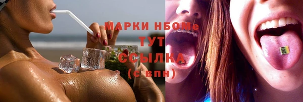 гидра Гусь-Хрустальный