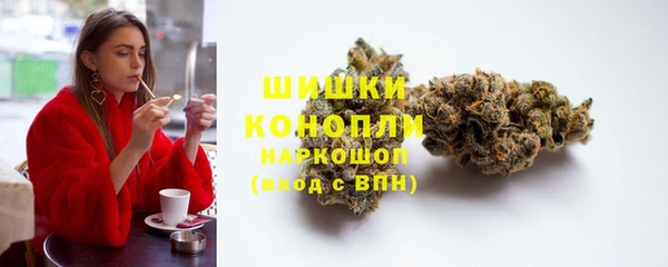 шишки Михайловск