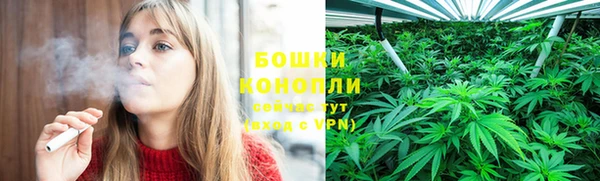 каннабис Гусев